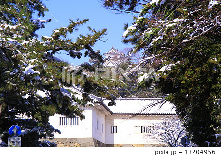 彦根城の雪景色 13204956
