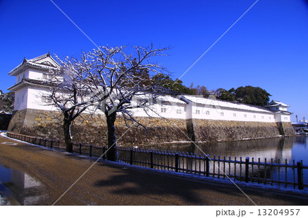 彦根城　開国記念館の雪化粧 13204957