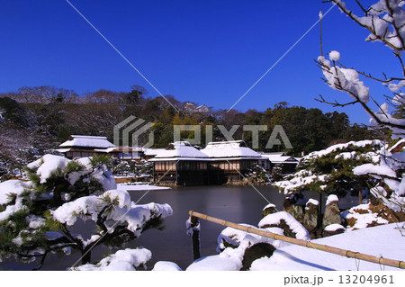 玄宮園（彦根城下）の雪景色 13204961
