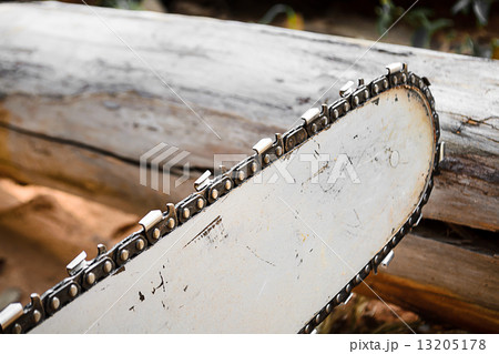 Saw blade for cutting timber Saw blade for cutting timber 13205178