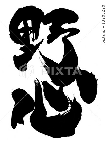 野心・・・文字 13205290