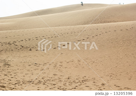 Sand texture at Phan Thiet, Vietnam 13205396