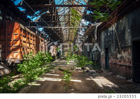 Old trains at abandoned train depot 13205555