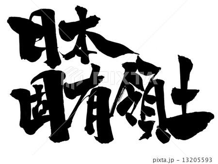 日本固有領土・・・文字 日本固有領土・・・文字 13205593