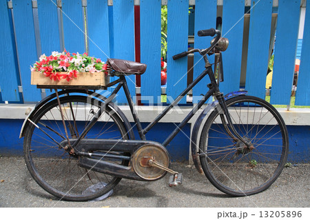 Fake flower on bicycle 13205896