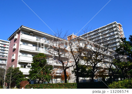 品川八潮ﾊﾟｰｸﾀｳﾝ52G1 13206574