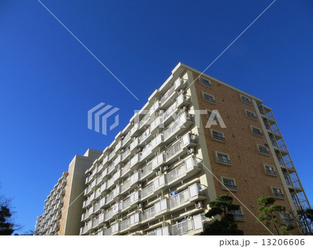 品川八潮パークタウン68G1 品川八潮パークタウン68G1 13206606