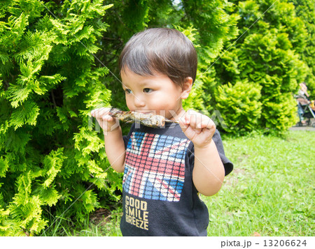 男の子がニジマスを食べている 13206624