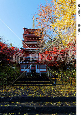 本土寺の五重塔と紅葉 13206736