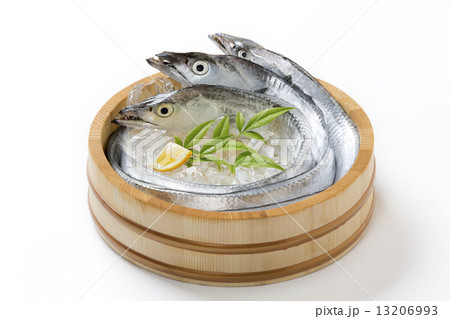 太刀魚 13206993