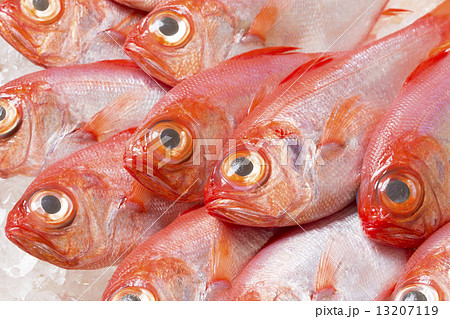 キンメダイ 13207119