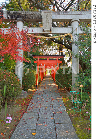 館林散歩・尾曳稲荷神社 13207122