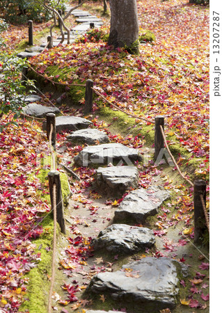 秋の京都大河内山荘の庭石  13207287