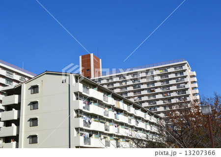 品川八潮ﾊﾟｰｸﾀｳﾝ41G1 13207366