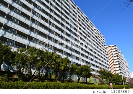 品川八潮ﾊﾟｰｸﾀｳﾝ49G1 13207369