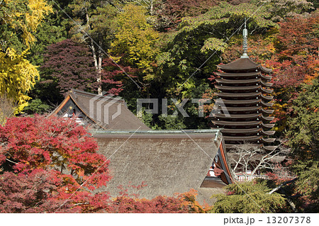 秋の奈良談山神社 13207378