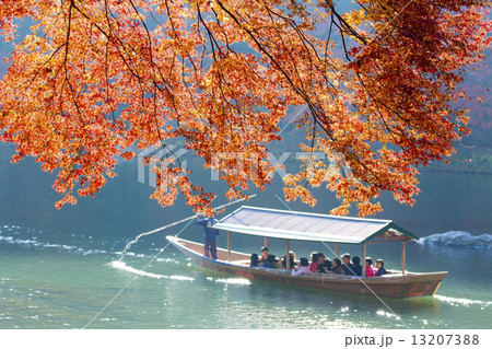 秋の嵐山での船遊び(大堰川エリア) 13207388
