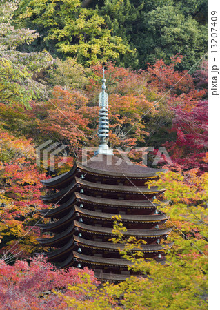 秋の奈良談山神社 13207409