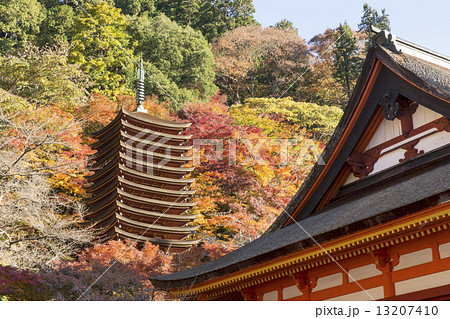 秋の奈良談山神社 13207410