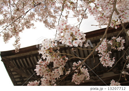 長岳寺 13207712