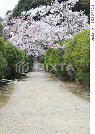 長岳寺 13207715