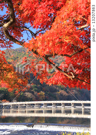 11月京都 嵐山渡月橋と紅葉の写真素材