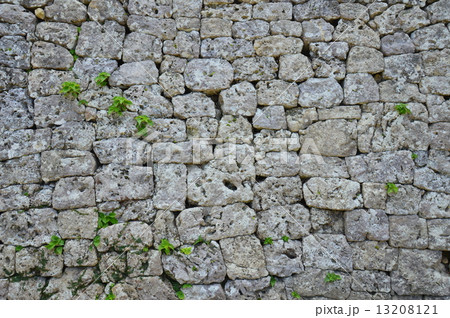 世界遺産 中城城跡の「石垣」（沖縄県中頭郡北中城村･中城村） 13208121