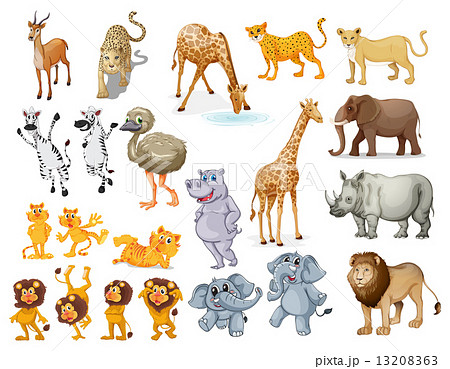 Wildlife set 13208363