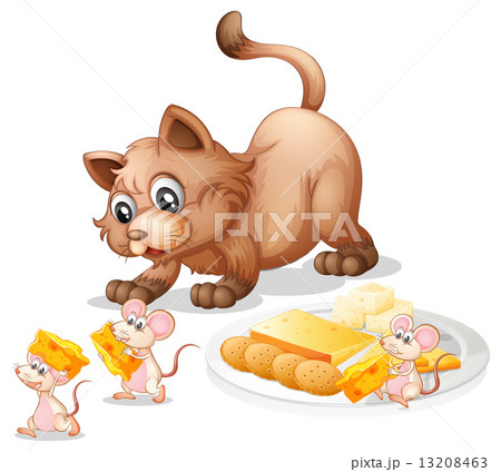 Cat and mice Cat and mice 13208463