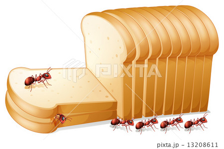 Bread and ants 13208611