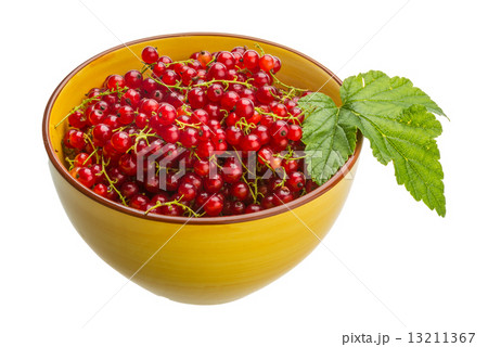 Red currant Red currant 13211367