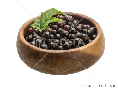 Black currant Black currant 13211926