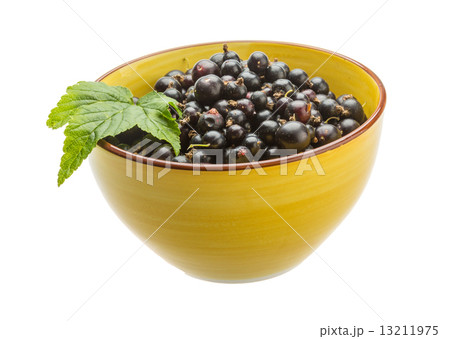 Black currant 13211975