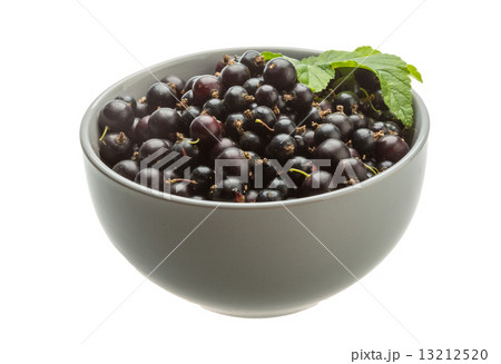 Black currant 13212520
