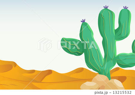Desert Desert 13215532