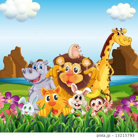 Animals in the field Animals in the field 13215793