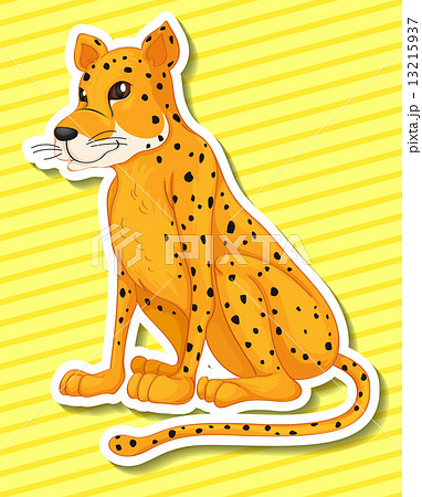 Leopard 13215937