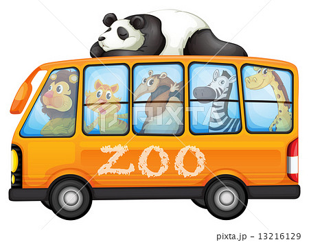 Animals on bus 13216129