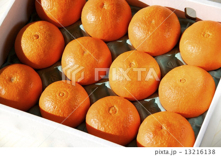 紅まどんな 紅まどんな 13216138