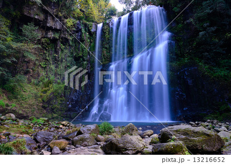 桜滝全景 13216652