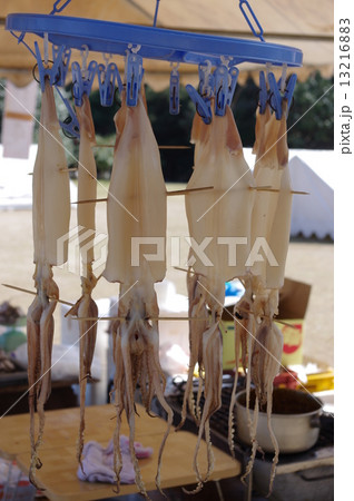 イカの一夜干し 13216883