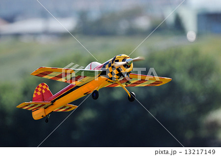 ラジコン飛行機 ラジコン飛行機 13217149