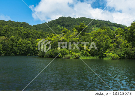 鎌池 鎌池 13218078