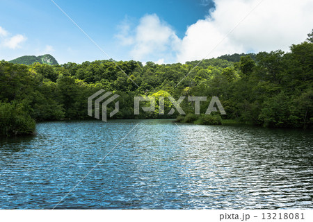 鎌池 鎌池 13218081