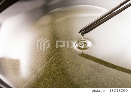 サラダオイル 13218260