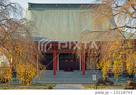 館林散歩・浄土宗善導寺　本堂 13218743