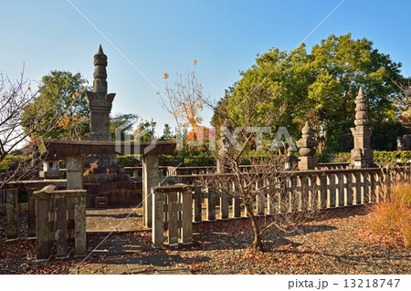 館林散歩・浄土宗善導寺　榊原康政父子の墓 13218747