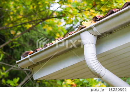 Leaves in gutter 13220392