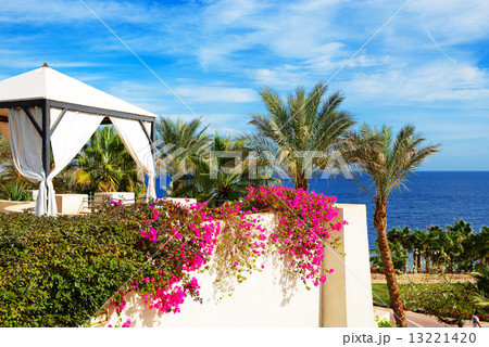 The sea view hut at luxury hotel, Sharm el Sheikh, Egypt 13221420
