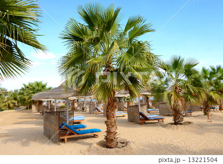 Palm tree on the beach at luxury hotel, Hurghada, Egypt Palm tree on the beach at luxury hotel, Hurghada, Egypt 13221504